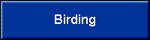 Click Here for Birding Information