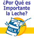 ¿Por Qué es Importante la Leche?