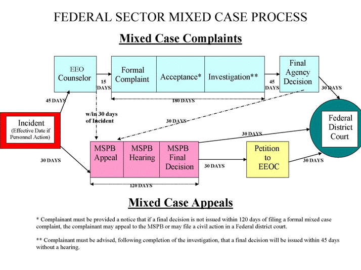 Graphical representation of mixed case process