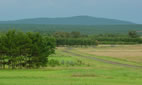 Dale Bumpers Small Farms Research Center, Booneville, Arkansas Site Logo