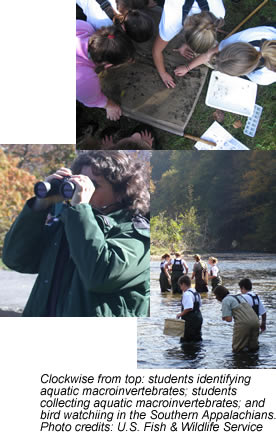 Photo montage of students identifying aquatic macroinvertebrates; students searching for aquatic macroinvertebrates; and bird watching. Photo credits: U.S. Fish & Wildlife Service