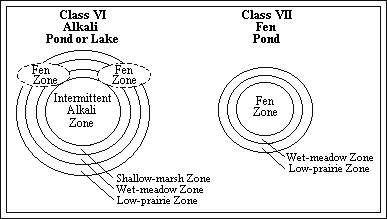 GIF -- Graph of Spatial Relation of the Vegetational Zones