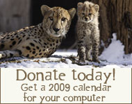 Donate today! Get a 2009 calendar for your computer
