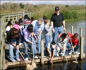 sweeping bugs from the marsh