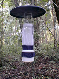 Mosquito light trap with mesh bag hanging below a top cover.