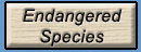 endangered species drop-down menu/light-up button