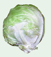 Photo: Iceberg lettuce.