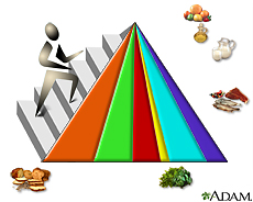 Ilustración de la pirámide de los grupos básicos de alimentos