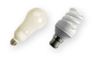 energy efficient light bulb s