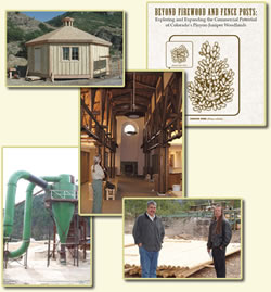 Five pictures: upper right is cover of Beyond Firewood and Fenceposts document; lower right includes two men standing in front of a dowel mill on the Flathead Indian Reservation; lower left is from the pellet mill in Eureka, Montana; upper left is one of the 2002 Olympic kiosks built from small diameter logs; and, the center picture is Gail Kimbell, then Northern Regional Forester now Forest Service Chief, standing inside the Darby Community Library.