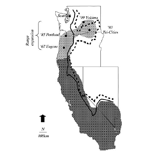 Figure 13—Overwintering range of the sachem skipper butterfly (shaded) in Washington, Oregon, California, and Nevada from Opler (1999), modified to include the western range expansion (lighter shading). 