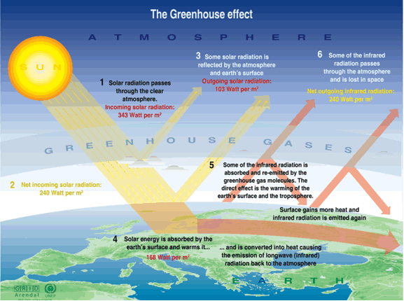 Figure 5.  The greenhouse effect.  Source: Climate Change 1995, The Science of Climate Change, contribution of working group 1 to the second assessment report of the Intergovernmental Panel on Climate Change.  