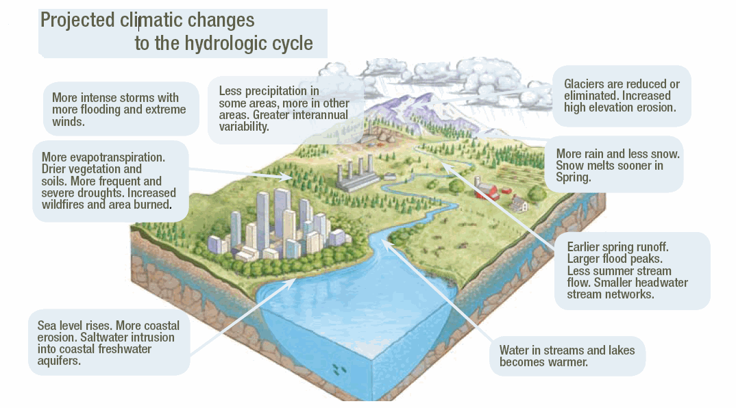 Projected Hydrologic Changes Graphic