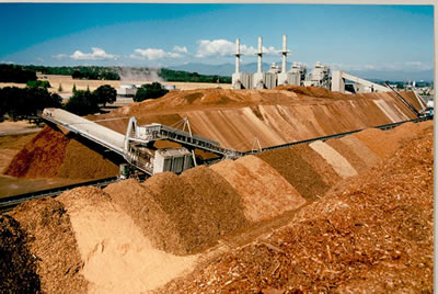 Biomass from some of the fuel reduction treatments was used to generate electricity (photo by Steve Jolly).