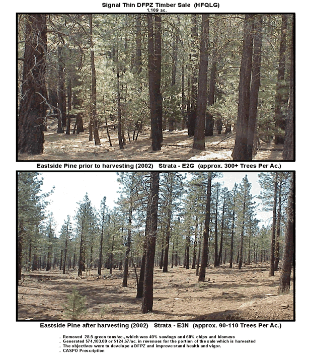 Figure 1—Thinning and surface fuel removal can improve resilience of forests to increased fire expected as a result of a warming climate. Photo courtesy of Lassen National Forest. 