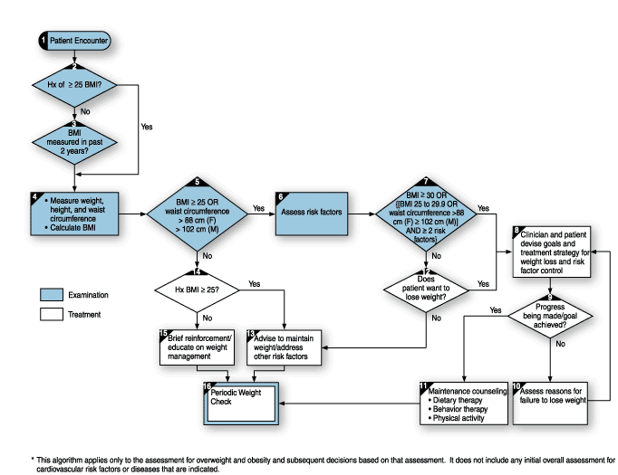 Graphical Representation of the Treatment Algorithm
