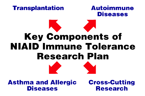 Key Components of NIAID Immune Tolerance Research Plan