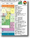 illustration of geologic units and time scale