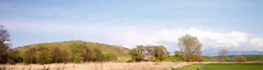 view of park with Whitman monument at top of hill