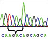 Diagram showing part of the normal gene sequence 