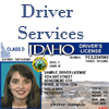 Driver Services