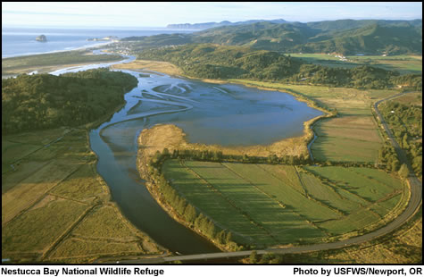 Nestucca Bay National Wildlife Refuge