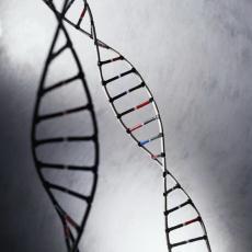 Fotografía de una maqueta de la doble hélice del ADN