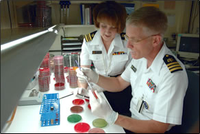 photo of biomedical research