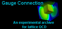 Gauge Connection An experimental archive for lattice OCD