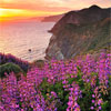 Golden Gate National Recreation Area (NPS) Photo