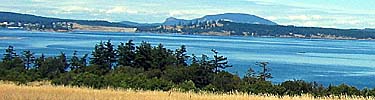 Griffin Bay with Turtleback Ridge in background from American Camp's prairie.