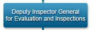 Deputy Inspector General for Evaluations and Inspections