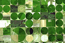 Agricultural Patterns