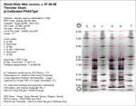 Calibrated IEF Gel Image