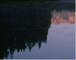 Partial photo of a reflection of forest area