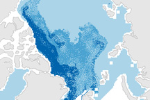 Amount of Old Ice in Arctic Hits Record Low in February 2009