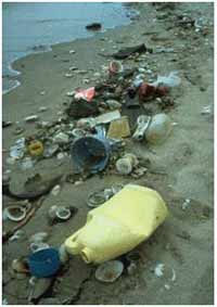 image of trash on a beach