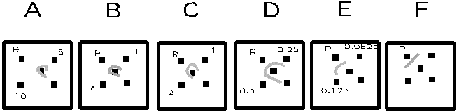 Fig. 4. Effect of amount of B. cereus enterotoxin in test preparation on development of reference line of precipitation.