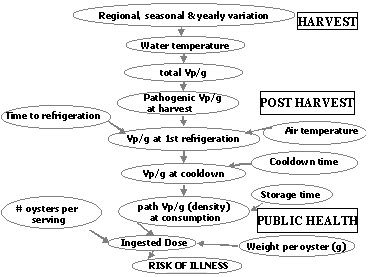 Figure VI-1. See text for analysis.