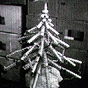 Skylab 4 Christmas tree