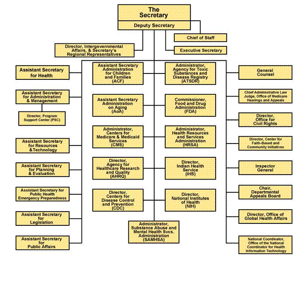 Appendix E: HHS Organizational Chart.
