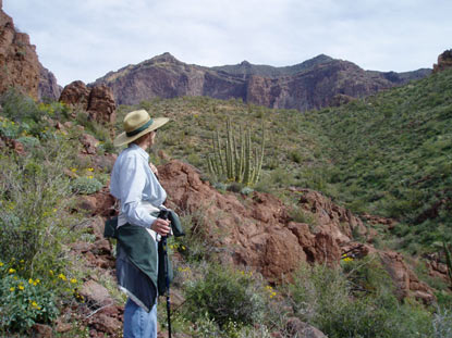 If the trail seems steep, the view is worth it.   Photo of a hiker on Bull Pasture Trail.