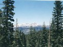 Image of West  side of  snow capped Sierra Nevada mountains.  Picture was taken at an undisclosed sample collection location of Lewisia kellogii facing Southeast.  -Robert Saich