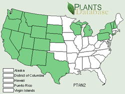 Map of the United States showing states colored green where the species may be found.