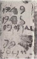 Photo of an arboglyph with the dates 1949 and 1945 carved into an Aspen tree.