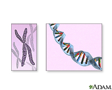 Illustration of chromosomes and DNA