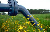 Image of pipeline in a field