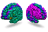 MRI brain map of tissue thickness