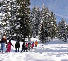 Visitors enjoy a hike in the snow on a sunny winter day.