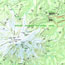 Section of a map of Mount Rainier National Park showing the mountain.